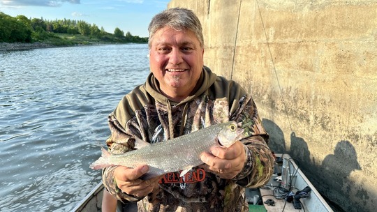 Goldeye