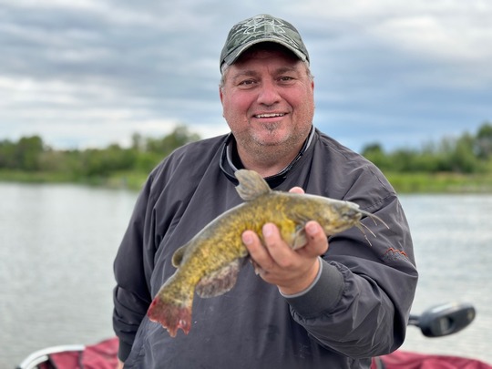 Bullhead