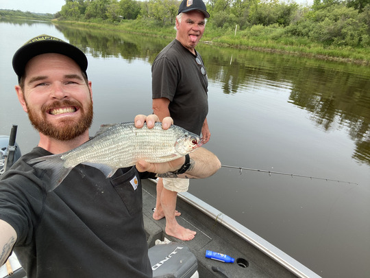 Goldeye