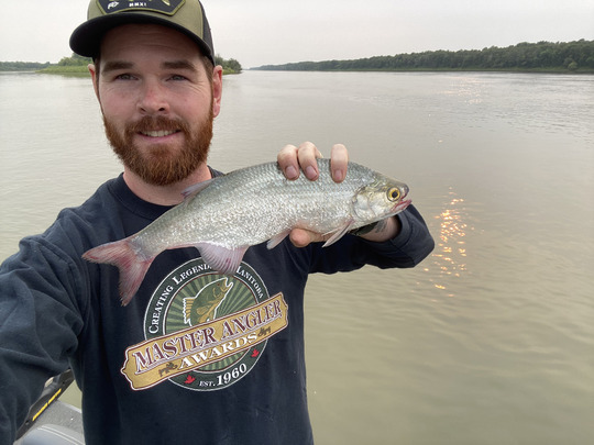 Goldeye