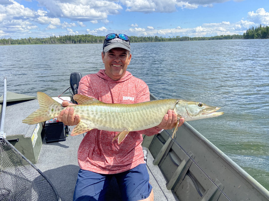 Muskellunge
