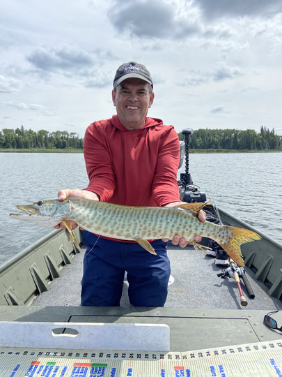 Muskellunge