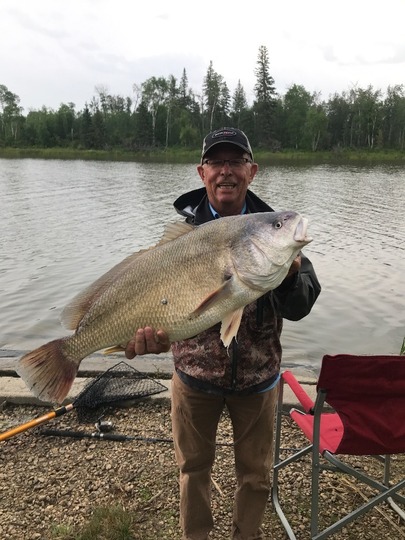 Freshwater Drum