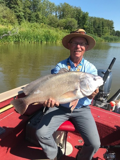 Freshwater Drum