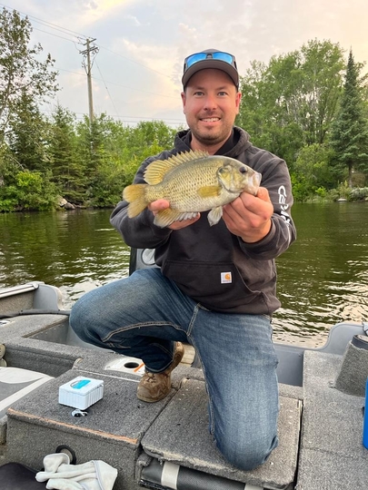 Rock Bass