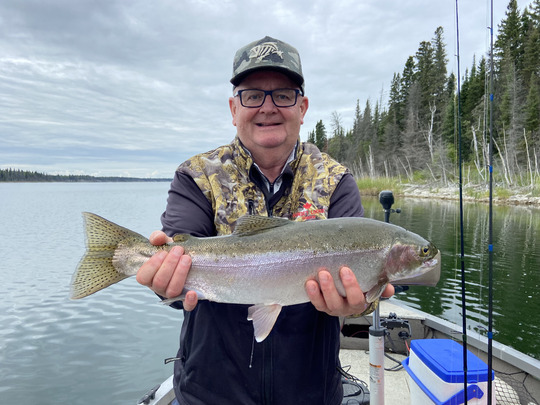 Rainbow Trout