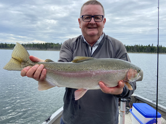 Rainbow Trout