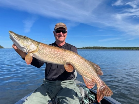 Northern Pike