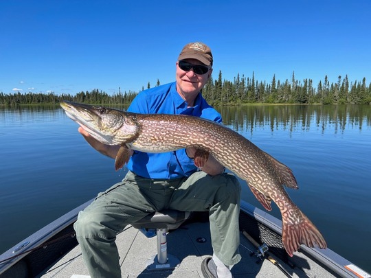 Northern Pike