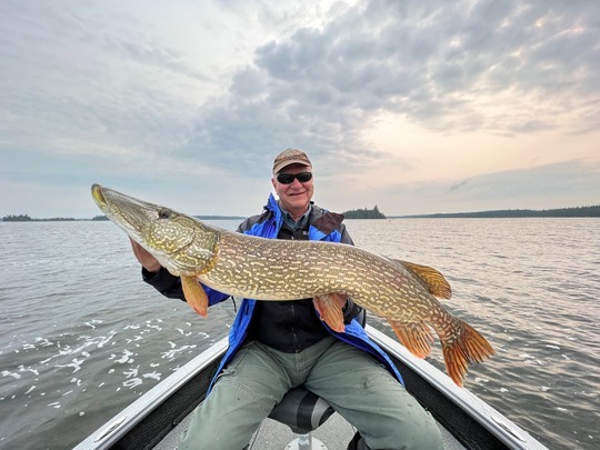 Northern Pike