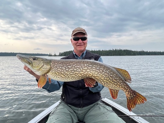 Northern Pike