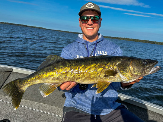 Walleye