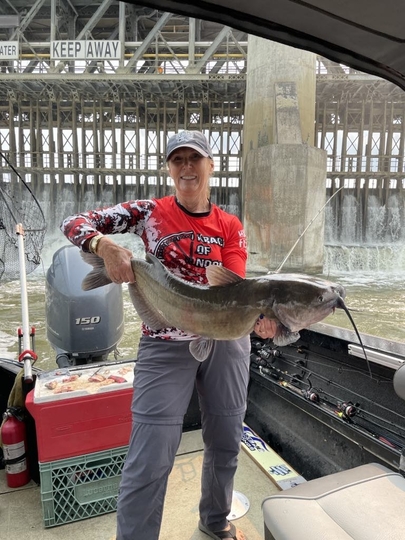 Channel Catfish