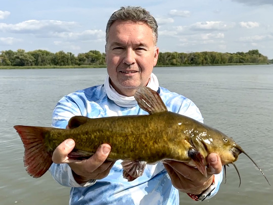 Bullhead