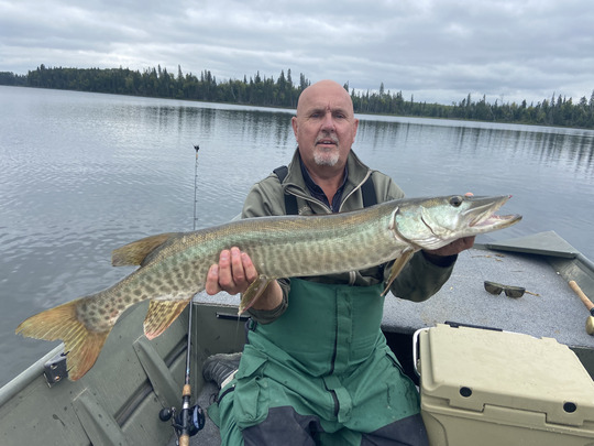 Muskellunge