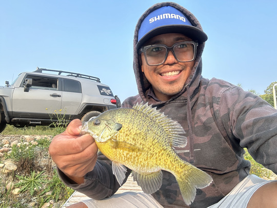 Sunfish