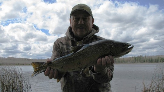 Tiger Trout