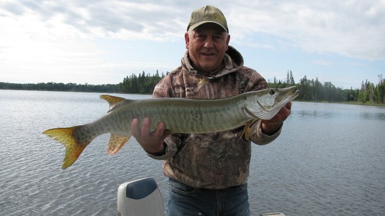 Muskellunge