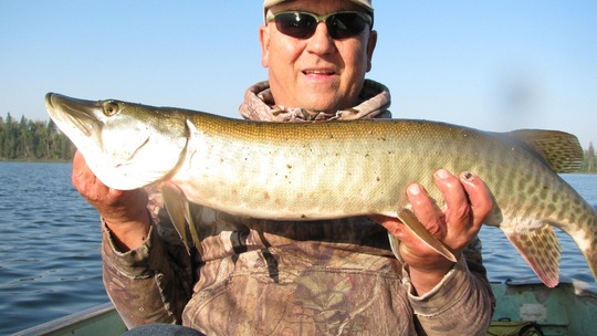 Muskellunge