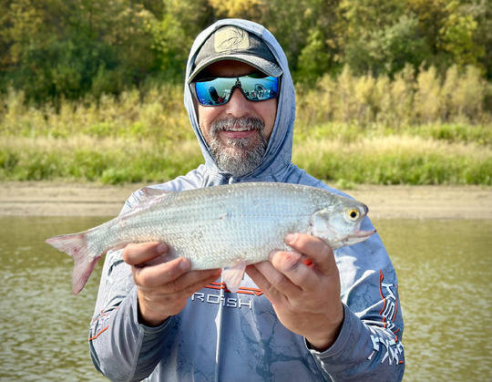 Goldeye