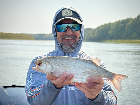 Goldeye