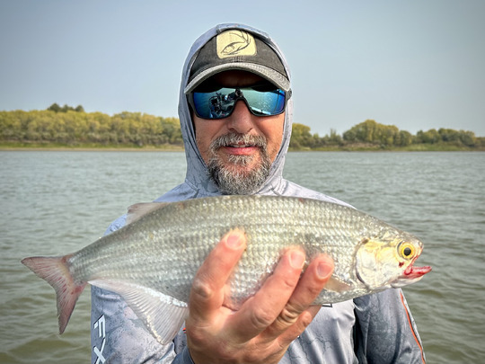 Goldeye