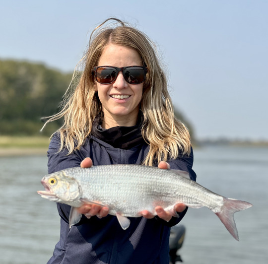 Goldeye