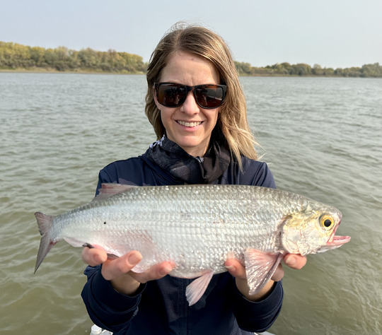Goldeye