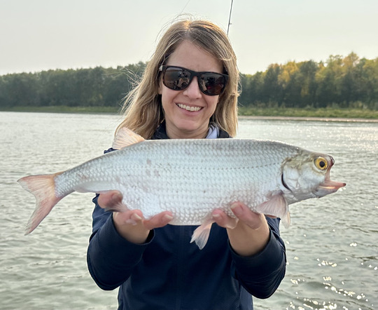 Goldeye
