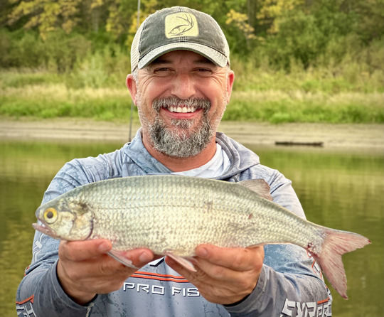 Goldeye