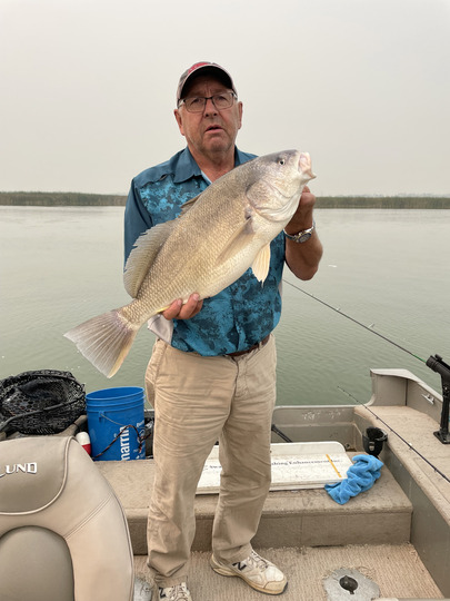 Freshwater Drum