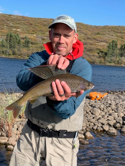 Arctic Grayling