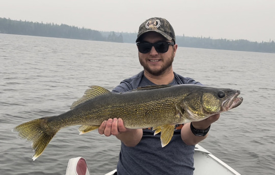 Walleye