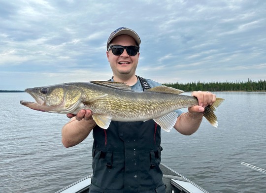 Walleye