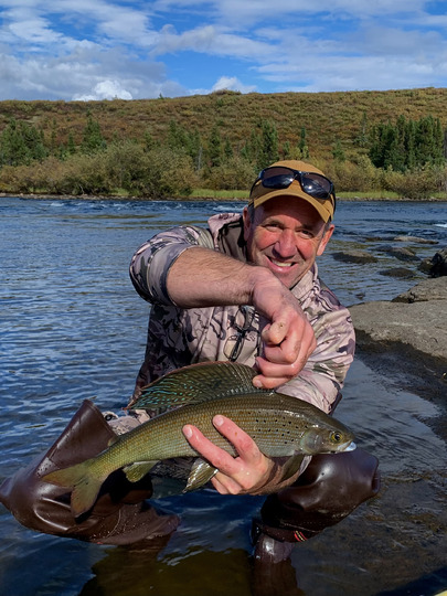 Arctic Grayling