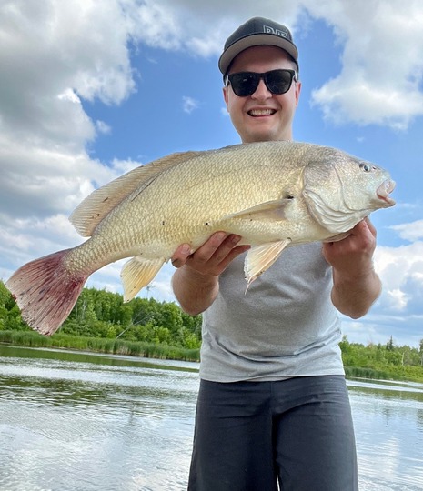 Freshwater Drum