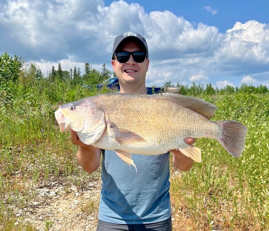 Freshwater Drum