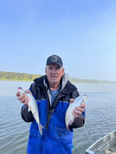Goldeye