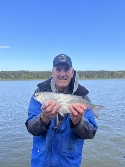 Goldeye
