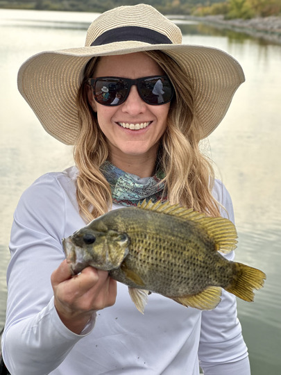 Rock Bass