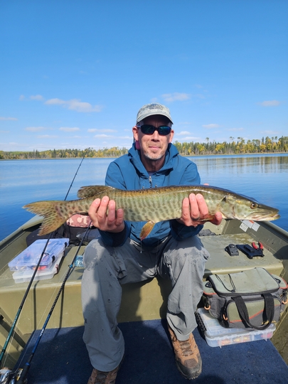 Muskellunge