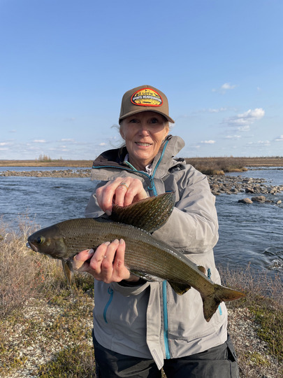 Arctic Grayling