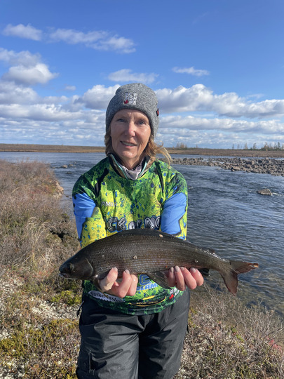 Arctic Grayling