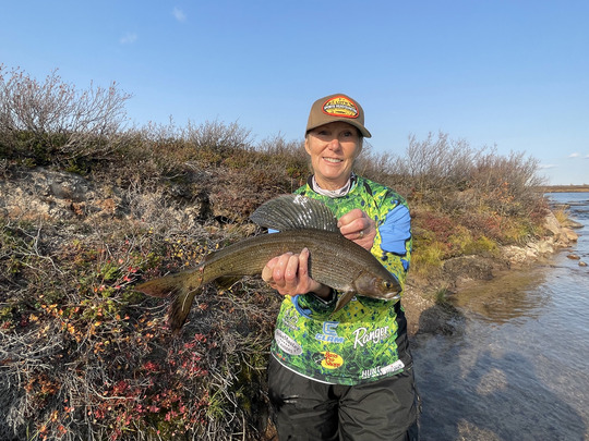 Arctic Grayling