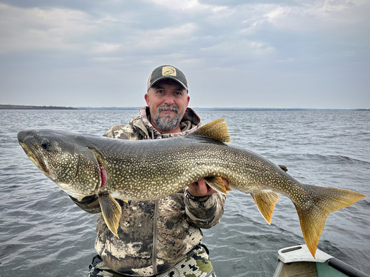 Lake Trout