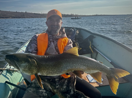 Lake Trout