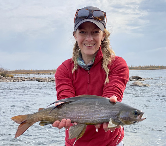Arctic Grayling