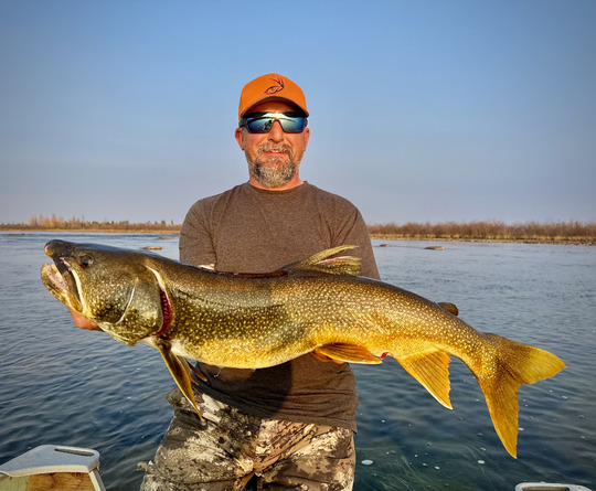 Lake Trout