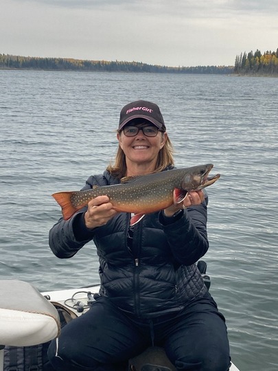 Brook Trout