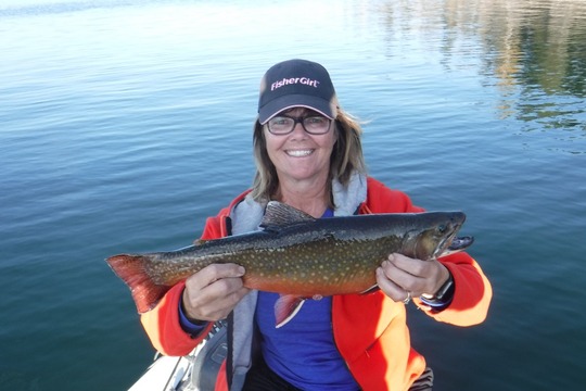 Brook Trout